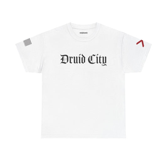 Druid City Unisex Heavy Cotton T